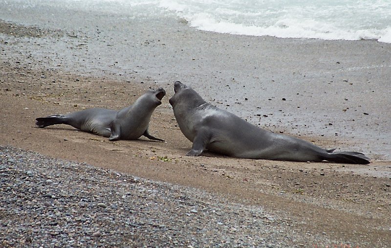 558_puerto_madryn.jpg