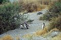 547_puerto_madryn