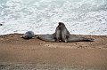 556_puerto_madryn