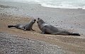 558_puerto_madryn
