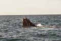 571_puerto_madryn