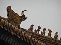 DSC06908