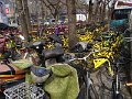 DSC06952