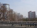 DSC06974