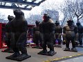 DSC07010