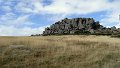 DSC07081