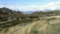 DSC07082