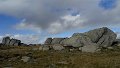 DSC07091