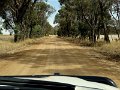 DSC07139