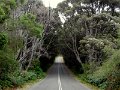 DSC07198