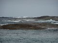 DSC07206