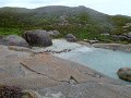 DSC07225