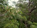 DSC07261