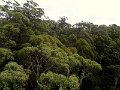 DSC07267