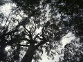 DSC07274