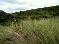 DSC07285