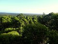 DSC07293