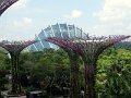 DSC07510
