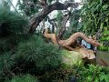DSC07517