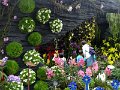 DSC07526