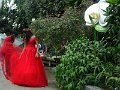 DSC07527