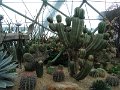 DSC07551