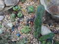 DSC07561