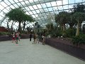 DSC07562