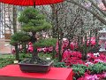 DSC07566