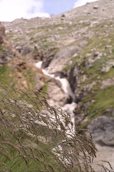 P7303443.JPG