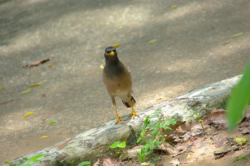 IMGP7578.JPG