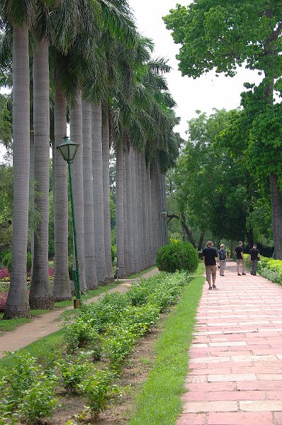 IMGP7647.JPG