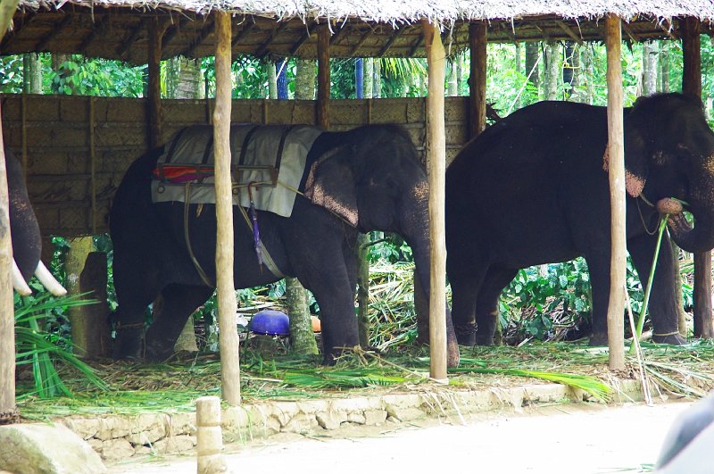 IMGP5104.JPG
