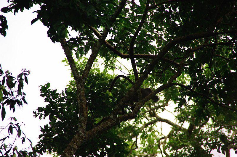 IMGP5143.JPG