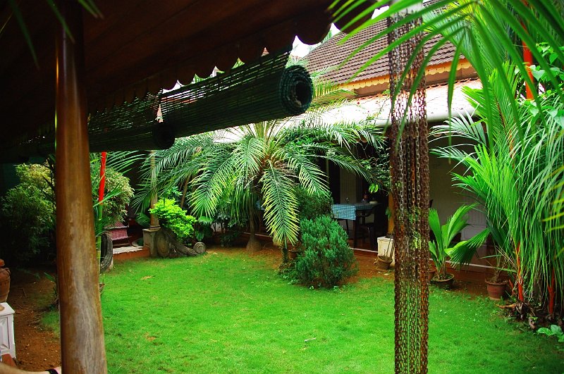 IMGP5370.JPG