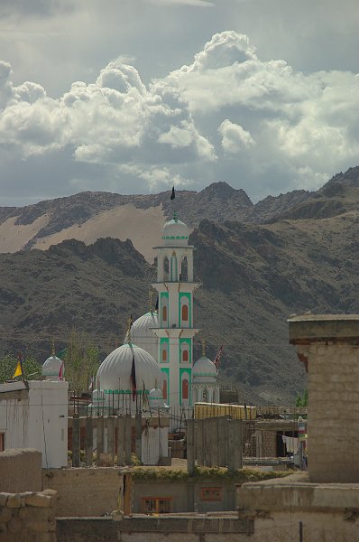 IMGP7875.JPG