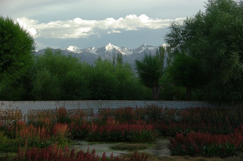 IMGP7885.JPG