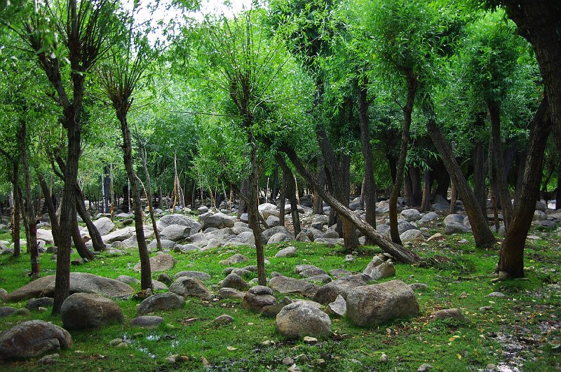 IMGP7902.JPG