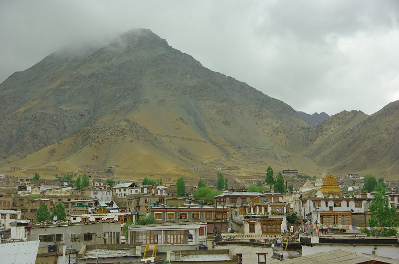 IMGP7979.JPG