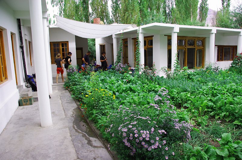 IMGP8451.JPG