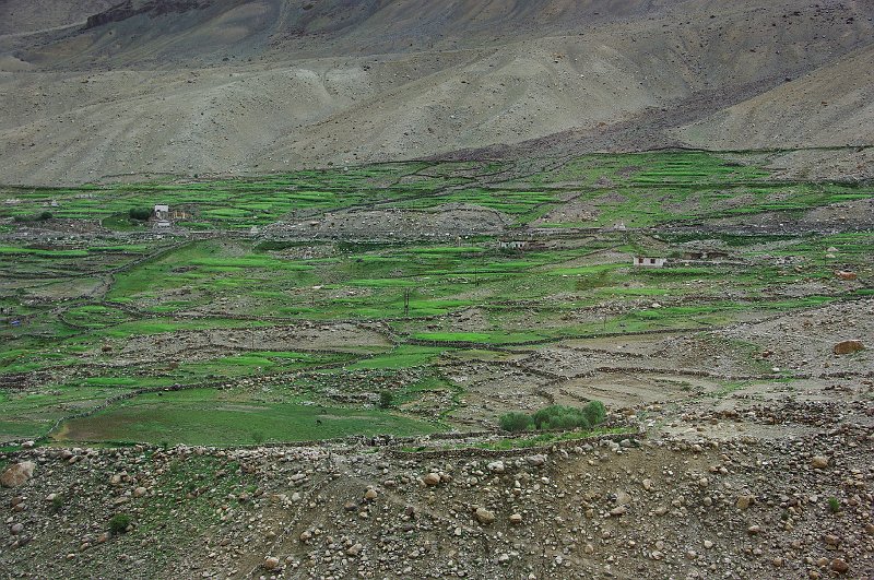 IMGP8463.JPG