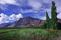 IMGP8267