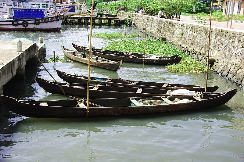 IMGP8754.JPG