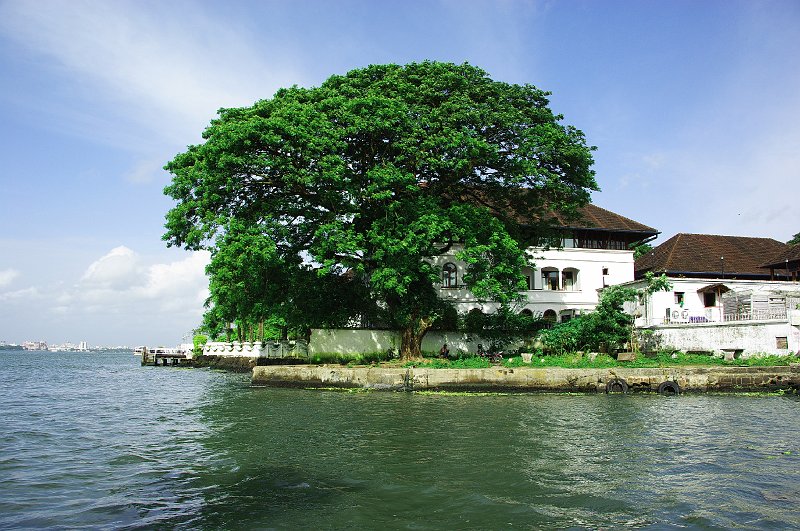 IMGP8798.JPG