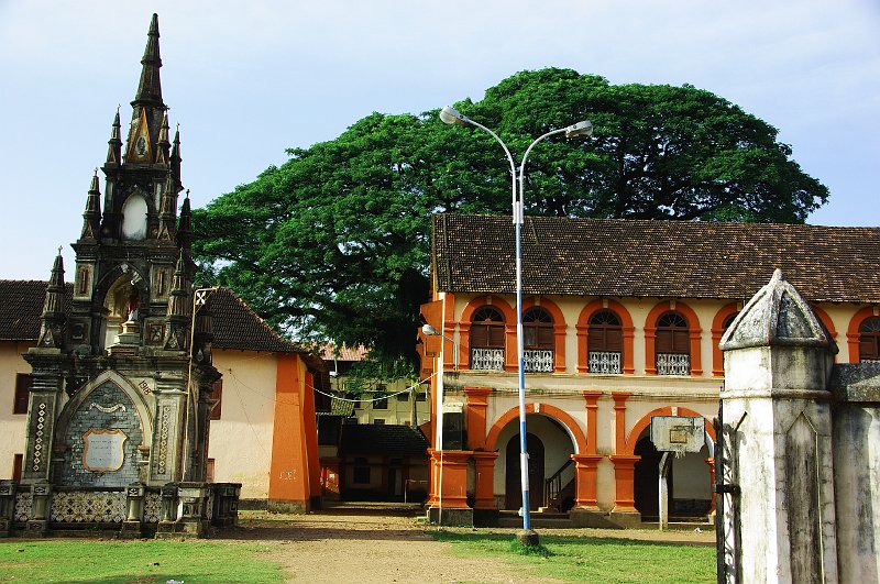 IMGP8859.JPG
