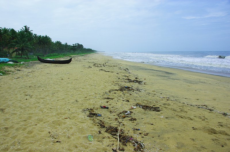 IMGP9347.JPG