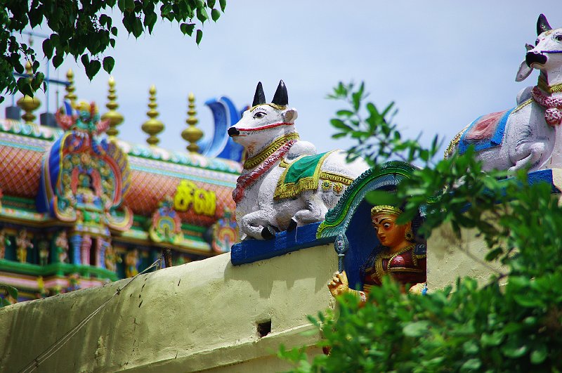 IMGP4713.JPG