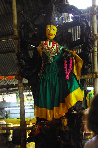 IMGP4745.JPG