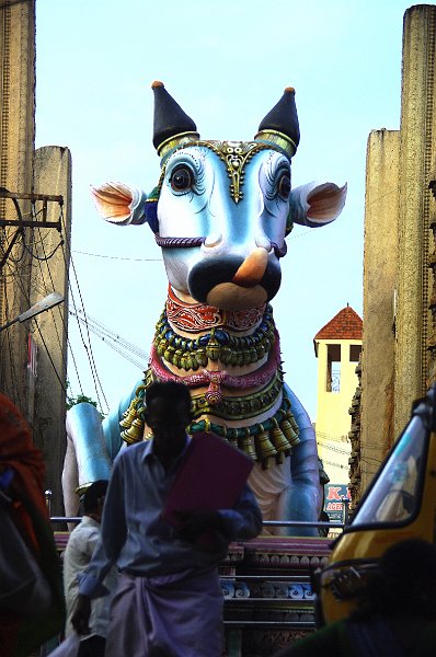 IMGP4934.JPG