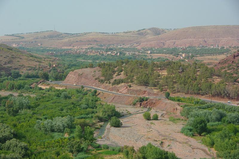 IMGP9204.JPG